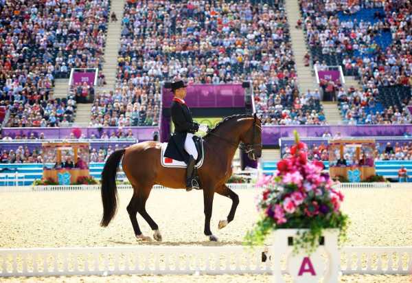 dressage maroc
