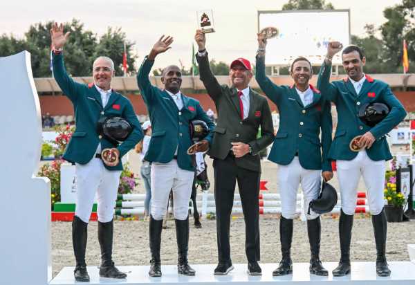 Sports equesters 